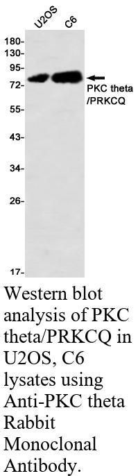 生物相关数据