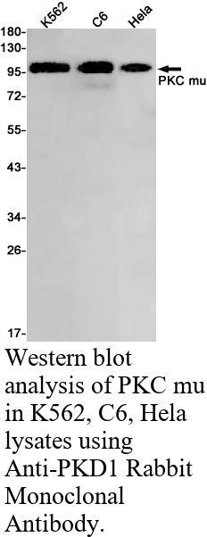 生物相关数据