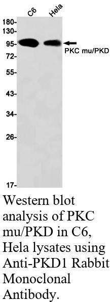 生物相关数据