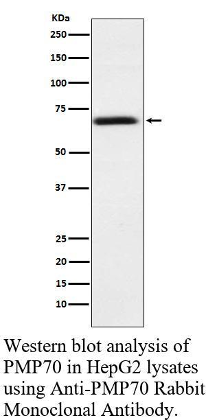 生物相关数据