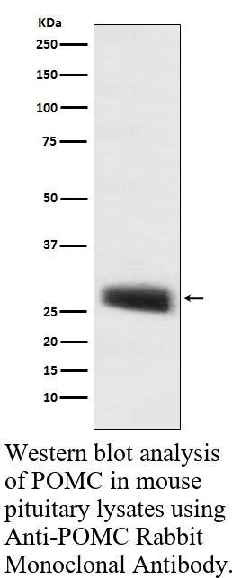生物相关数据