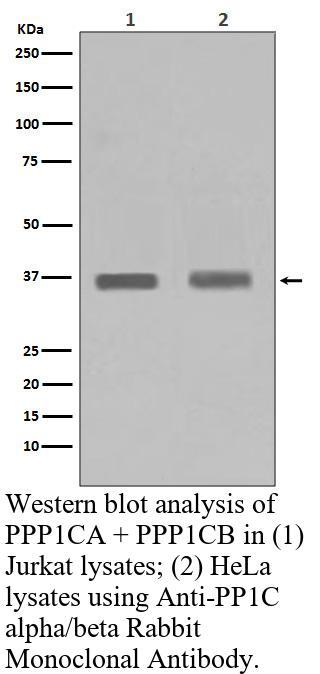 生物相关数据