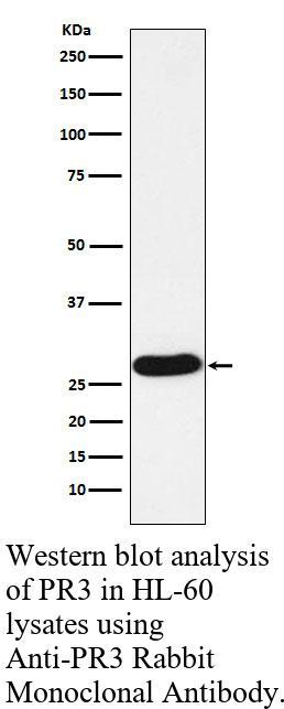 生物相关数据