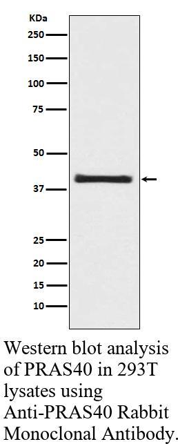 生物相关数据