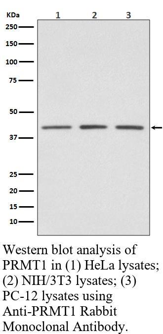 生物相关数据