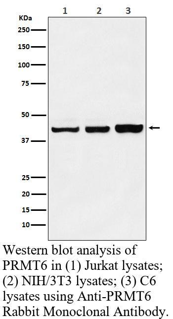 生物相关数据
