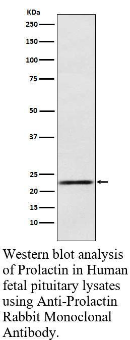 生物相关数据