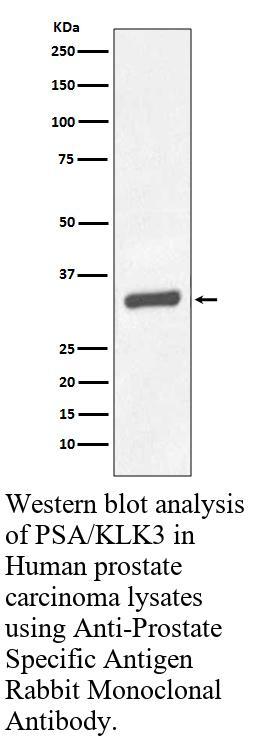 生物相关数据
