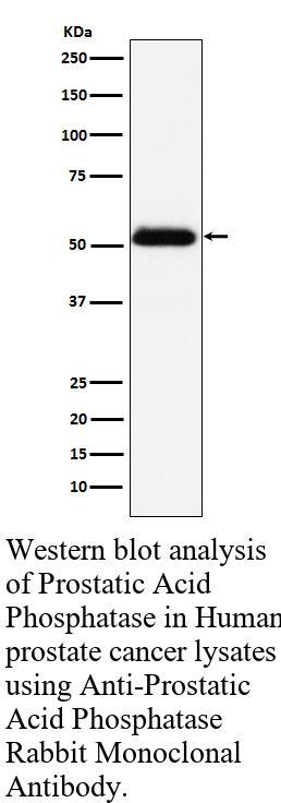 生物相关数据