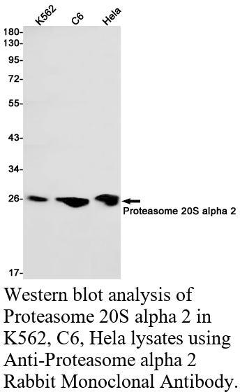 生物相关数据