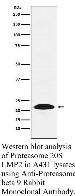 生物相关数据