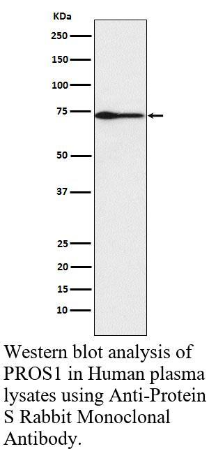 生物相关数据