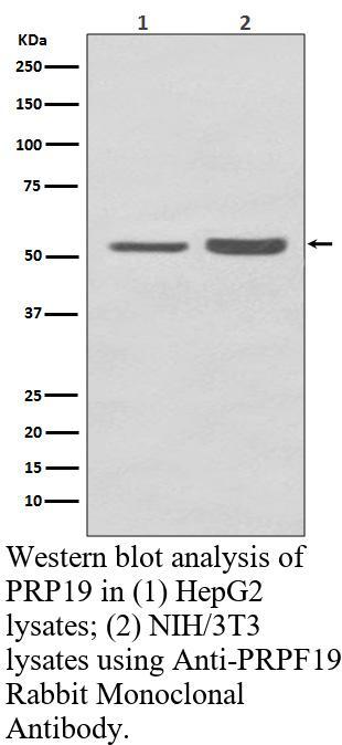 生物相关数据