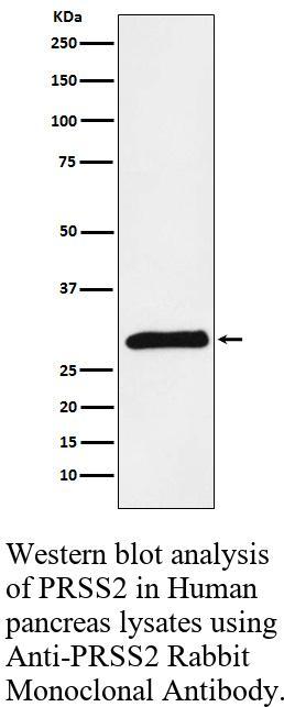 生物相关数据
