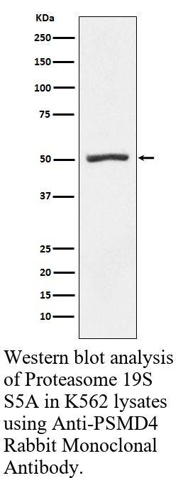 生物相关数据