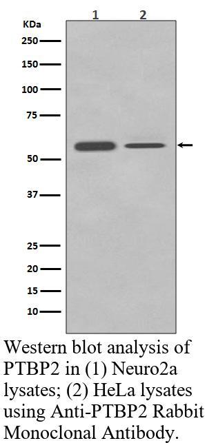 生物相关数据