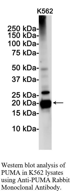 生物相关数据