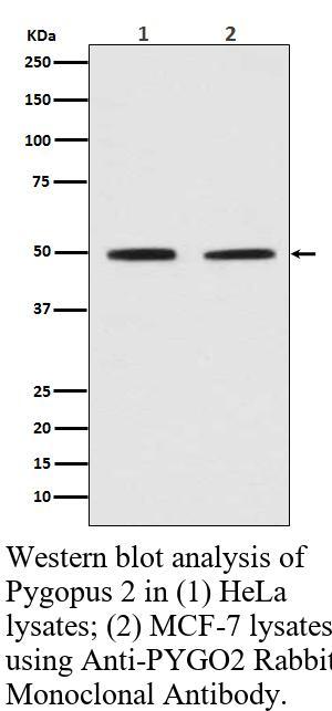 生物相关数据