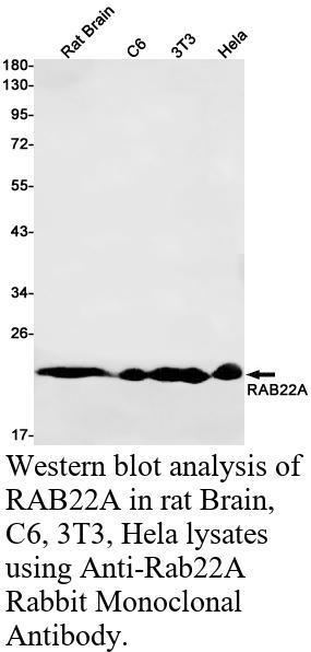 生物相关数据