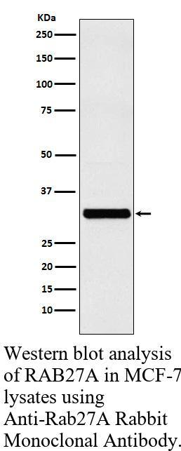 生物相关数据