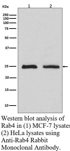 生物相关数据