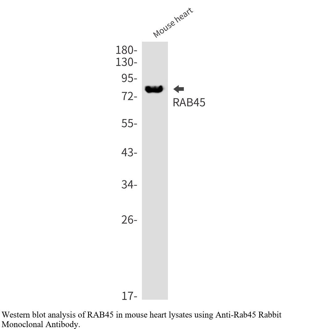 生物相关数据