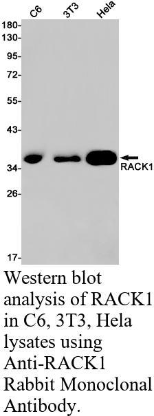 生物相关数据