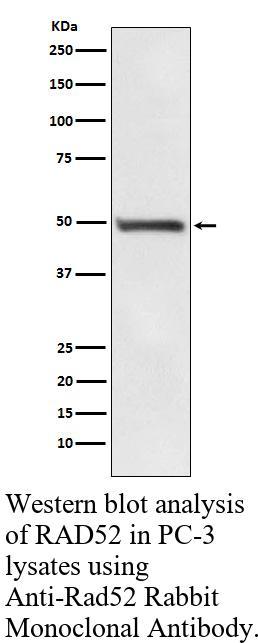 生物相关数据