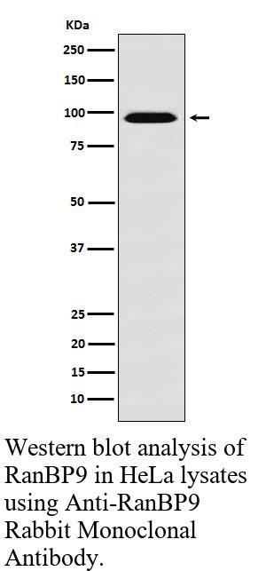 生物相关数据