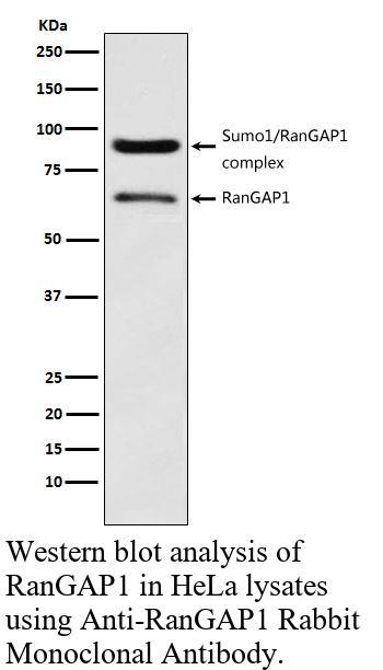 生物相关数据