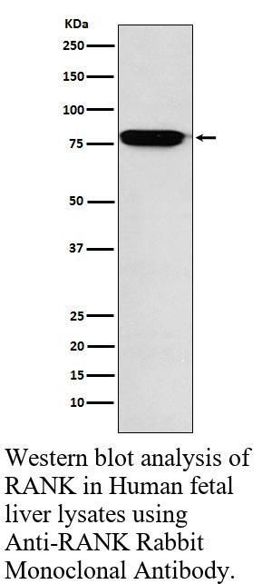 生物相关数据