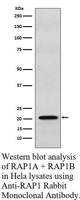 生物相关数据