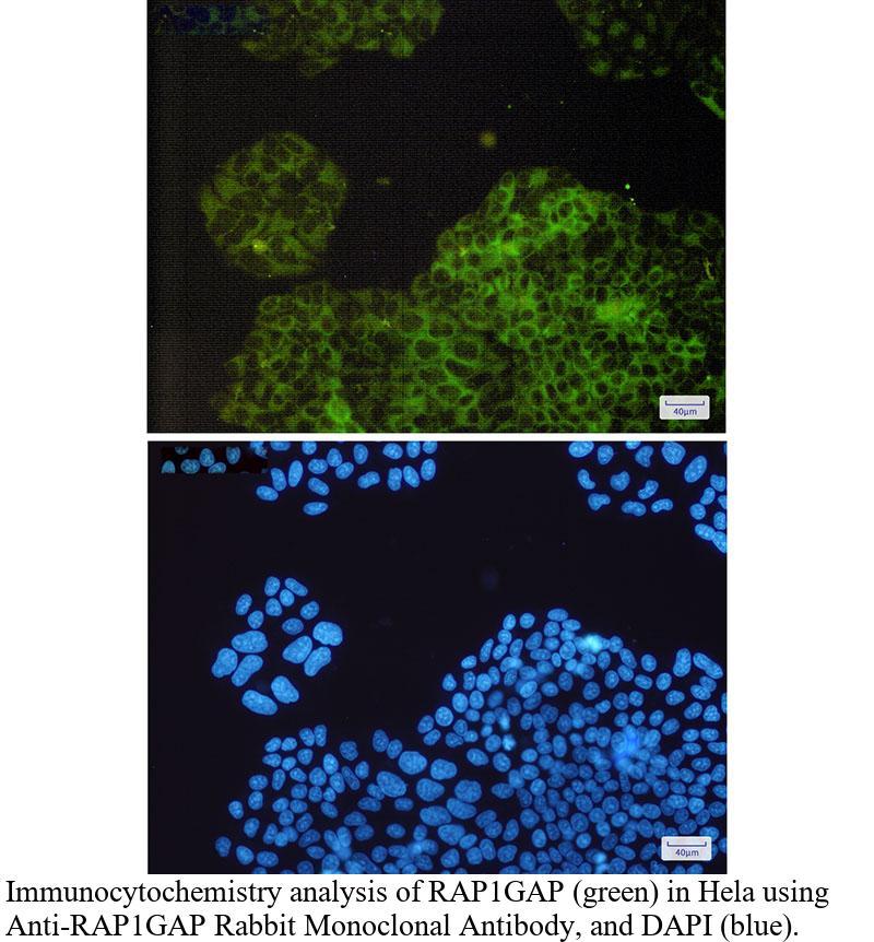 生物相关数据