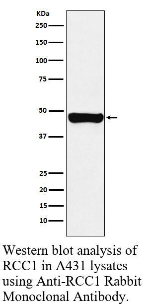 生物相关数据