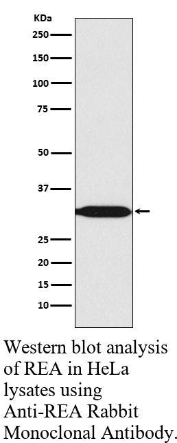 生物相关数据