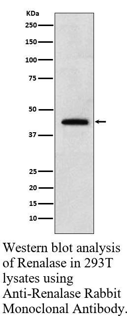 生物相关数据