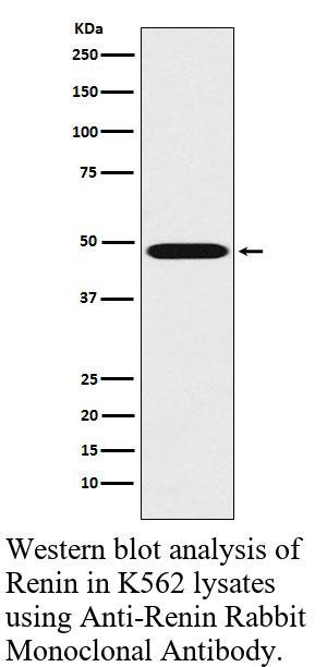 生物相关数据