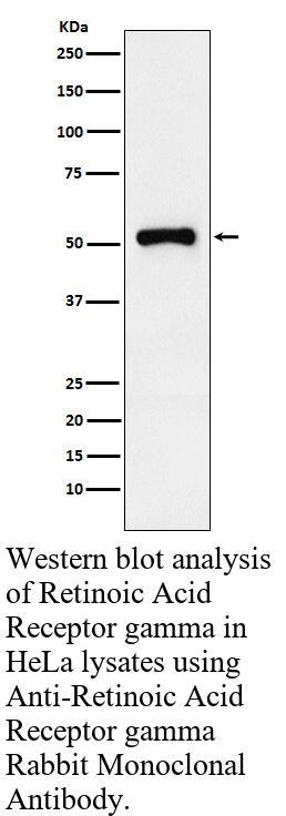 生物相关数据