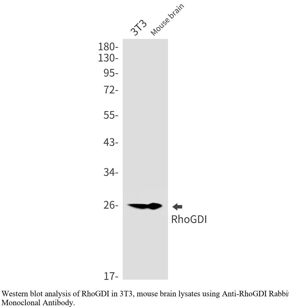 生物相关数据