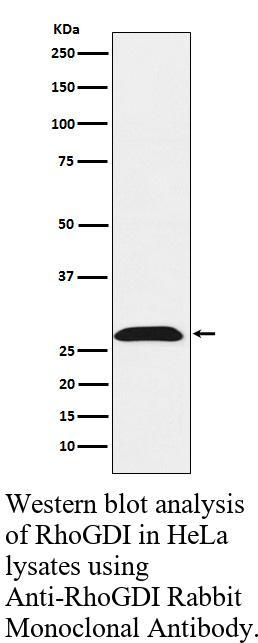 生物相关数据
