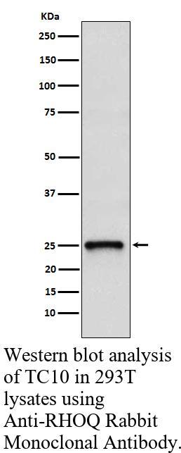 生物相关数据