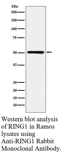 生物相关数据