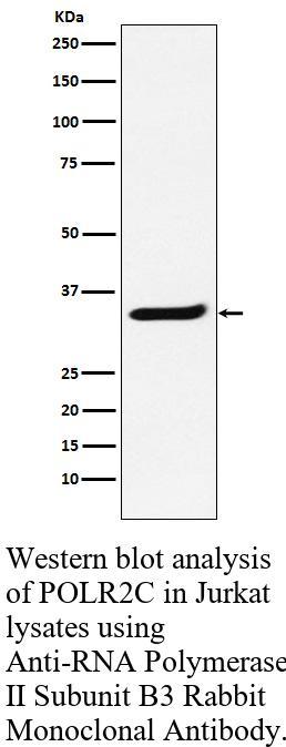 生物相关数据