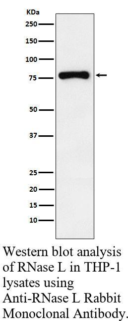 生物相关数据