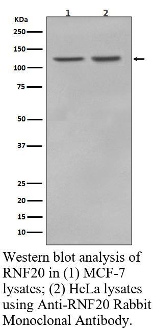 生物相关数据