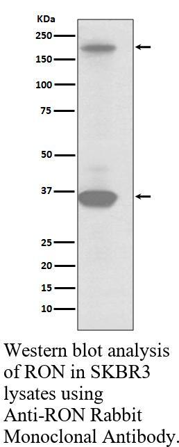 生物相关数据