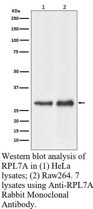 生物相关数据