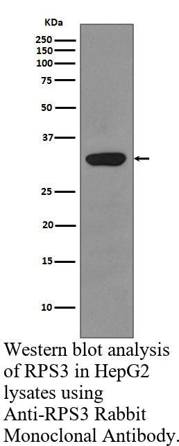 生物相关数据