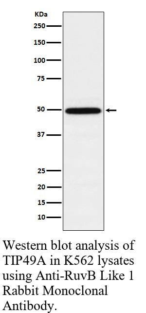 生物相关数据