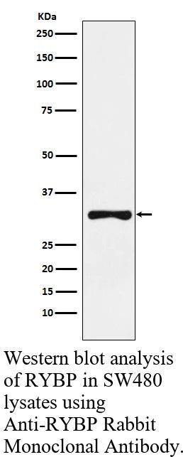 生物相关数据